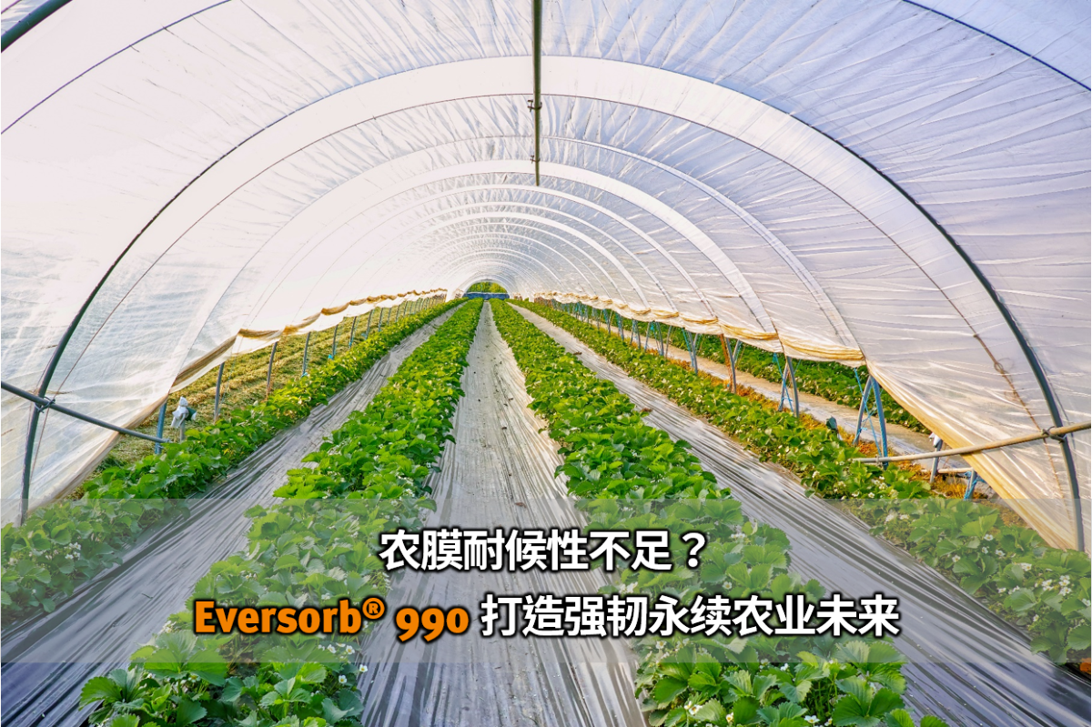 农膜耐候性不足？Eversorb 990 打造强韧永续的农业未来